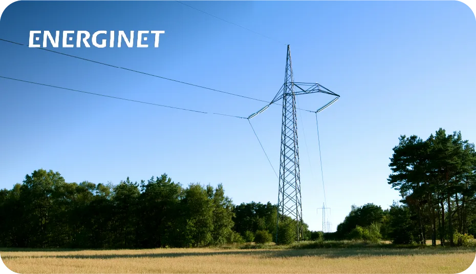 Energinet Quote